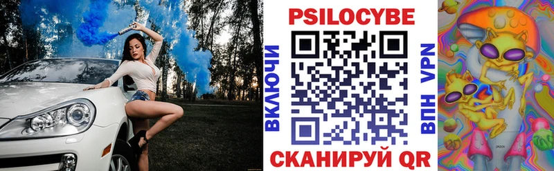 где продают   Уфа  Псилоцибиновые грибы Psilocybe 